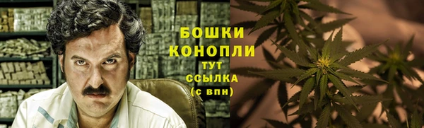 индика Вязники