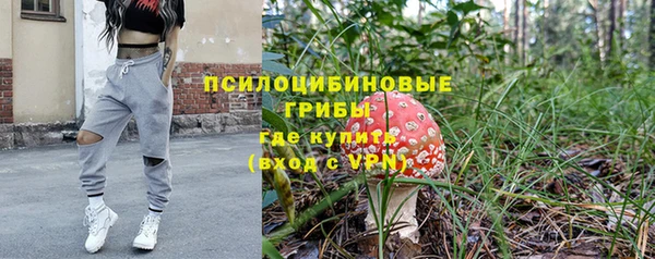 индика Вязники