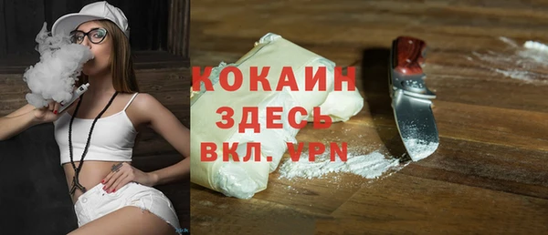 индика Вязники