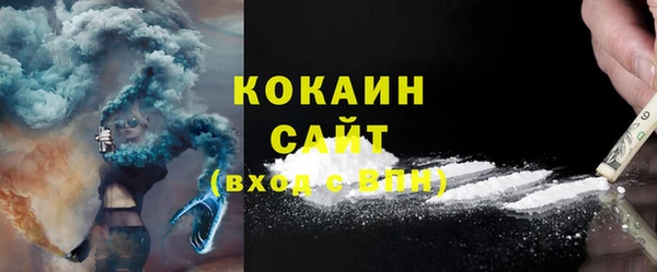индика Вязники