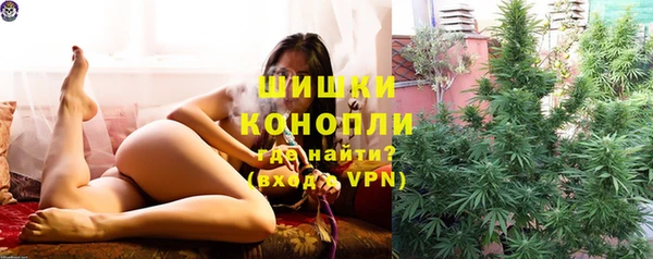 индика Вязники