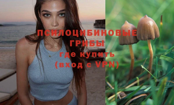 гашиш Вязьма