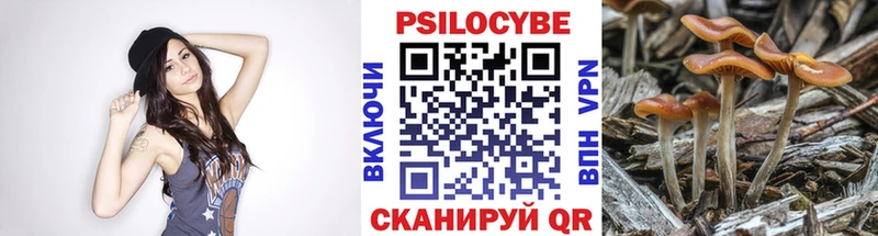 Галлюциногенные грибы Magic Shrooms  Купить где  Ипатово 